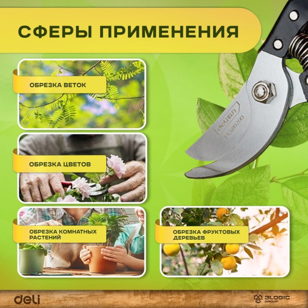 Изображение загружено обработкой выгрузки с сайта