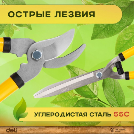 Изображение загружено обработкой выгрузки с сайта