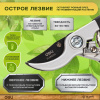 Изображение загружено обработкой выгрузки с сайта