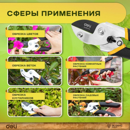Изображение загружено обработкой выгрузки с сайта