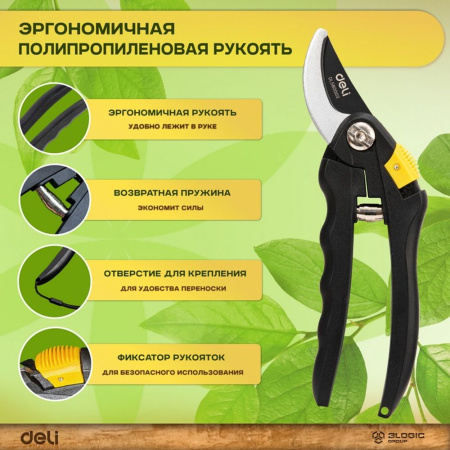 Изображение загружено обработкой выгрузки с сайта