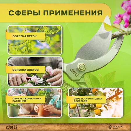 Изображение загружено обработкой выгрузки с сайта